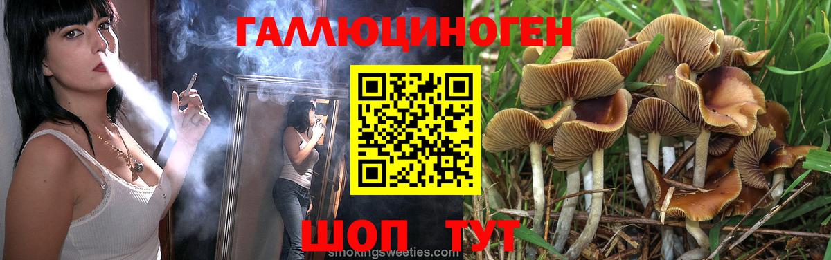 Каспийск  Галлюциногенные грибы MAGIC MUSHROOMS  Вход с VPN 